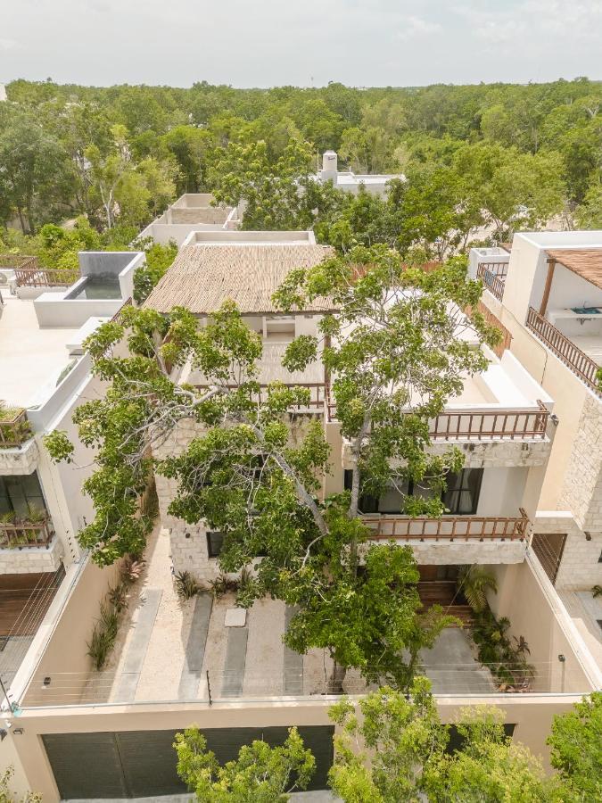 New Aura Jungle Getaway Villa Tulum Kültér fotó